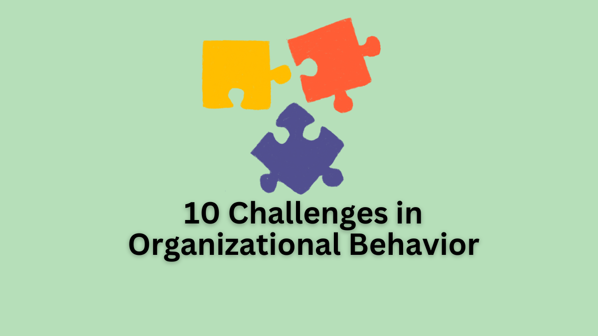 Challenges in Organizational Behavior