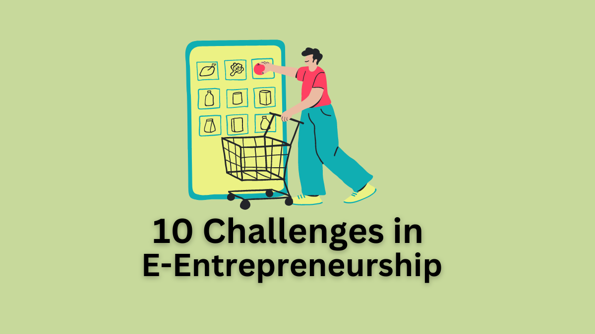 challenges in e-entrepreneurship